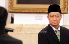 Tom Lembong Diyakini Sudah Meminta Izin Jokowi terkait Kebijakan Impor Gula - JPNN.com