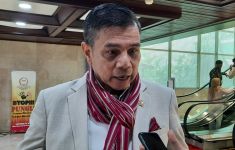 Hinca Demokrat: Kami Mendengar, Kasus Tom Lembong Sarat Balas Dendam Politik - JPNN.com