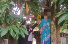 Seorang Guru di Kampar Tewas Gantung Diri di Pohon Jambu - JPNN.com