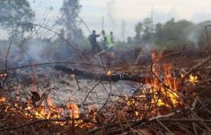 Dalam Sehari Ada 9 Hektare Lahan Terbakar di Palangka Raya - JPNN.com