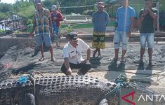 Nelayan di Gorontalo Utara Menemukan Buaya 4,7 Meter - JPNN.com