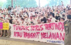 Jangan Remehkan Dampak Penundaan Pengangkatan PPPK & CPNS 2024 - JPNN.com