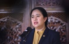 Senayan juga Menyorot Seleksi Honorer jadi PPPK 2024 - JPNN.com