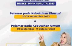 Pendaftaran PPPK 2023 Ditutup 29 September, Berlaku untuk 3 Kelompok Pelamar Ini  - JPNN.com