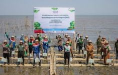 Pertamina Trans Kontinental Gelar Green Mangrove Action Program di Makassar - JPNN.com