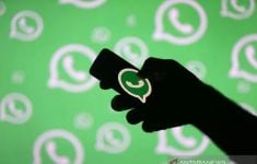 WhatsApp Beta Android Hadirkan Fitur Pengaturan Privasi Pembaruan Status - JPNN.com