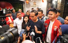 Aktivis Muhammadiyah Ini Menduga Jokowi Melanggar Konstitusi - JPNN.com
