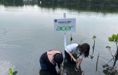 Hari Bumi, Acer Indonesia Tanam 2.500 Pohon Mangrove - JPNN.com