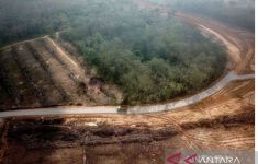Kabar Terbaru Pembangunan Tol Trans Sumatera di Jambi, Seksi 4 Tempino-Simpang Ness Mulai Dikerjakan - JPNN.com