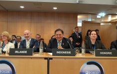 Menko Airlangga Sampaikan 3 Isu Penting Saat Berbicara di OECD - JPNN.com