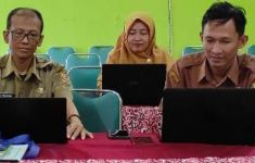 Pengangkatan PPPK 2024 Fokus untuk Penyelesaian Honorer, P1 Swasta Kejepit - JPNN.com
