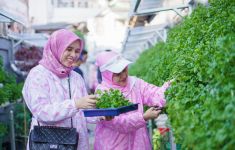 Kelompok Dasawisma Pisang di Palembang Sulap TPS Liar Jadi Urban Farming lewat BRI Peduli-BRInita - JPNN.com