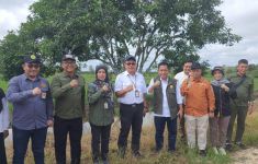 Kementan Dorong Barito Kuala Menyukseskan Upsus Antisipasi Darurat Pangan - JPNN.com