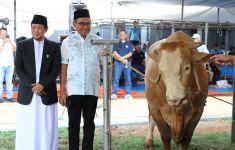 Bank Mandiri Salurkan Daging Kurban ke Daerah Bencana dan Terluar di Momen Iduladha - JPNN.com