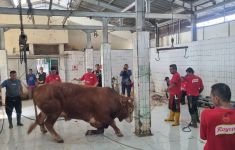 1.200 Ekor Hewan Kurban di Jawa Barat Tidak Layak Disembelih - JPNN.com