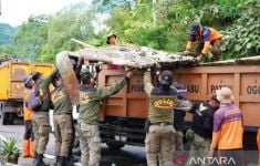 Puing Bekas Lapak PKL di Kawasan Puncak Bogor Mulai Dibersihkan - JPNN.com
