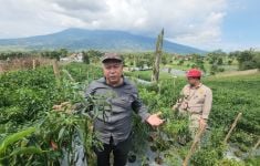 Gandeng Unas, Kementan Kembangkan Kampung Hortikultura Ramah Lingkungan di Sukabumi - JPNN.com