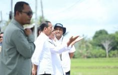 Suksesnya Produktivitas Pertanian di Bone, Pupuk Indonesia Siapkan Lebih dari 4.800 Ton Pupuk Bersubsidi - JPNN.com