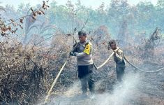 Kawasan Suaka Margasatwa Rimbang Baling Dibakar, Pelaku Langsung Ditangkap - JPNN.com