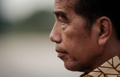 Kekayaan Jokowi dari Wali Kota-Presiden RI Versi LHKPN, Hitung Sendiri Kenaikannya - JPNN.com