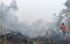 Luas Lahan yang Terbakar di Sungai Rotan Muara Enim Mencapai 53 Hektare - JPNN.com