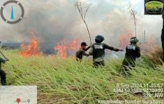 Setelah 2 Hari, Kebakaran di Taman Nasional Way Kambas Akhirnya Padam - JPNN.com