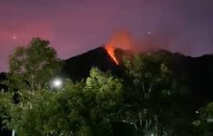 BPBD Jateng Ungkap Penyebab Gunung Telomoyo Terbakar, Ternyata - JPNN.com