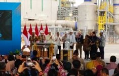 Ribka Haluk: Smelter PTFI Memberikan Dampak Positif Bagi Perekonomian Daerah - JPNN.com