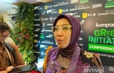 Dirjen EBTKE Sebut Pemanfaatan EBT Perlu Investasi USD 15,9 Miliar hingga 2030 - JPNN.com