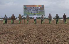 Kementan dan Pemkab Tanah Laut Dukung PAT dengan Tanam Padi Serentak - JPNN.com