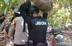 Gegana Brimob Polda Sulteng Amankan Benda Diduga Bom Rakitan di Poso - JPNN.com