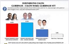 Survei Voxpol: Elektabilitas Emanuel Mekiades Laka Lena-Johanis Asadoma Moncer - JPNN.com