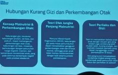 Asupan Gizi Cukup Cegah Anak Kurangi Risiko Working Memory Rendah - JPNN.com