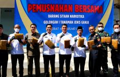 Bea Cukai dan BNNP Musnahkan Barang Bukti Ganja Hasil Penindakan di Cilegon - JPNN.com