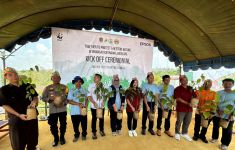 WWF Indonesia dan Epson Berkolaborasi, Tanam Pohon Seluas 300 Hektare di Wilayah Kalteng - JPNN.com