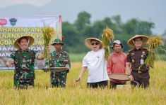 Jerry Hermawan Lo dan TNI AD Menghidupkan Lahan yang Tidur 4 Tahun, Hasilnya Luar Biasa - JPNN.com