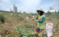 Lewat Program SGSP, SIG Tingkatkan Kesejahteraan Petani di Rembang - JPNN.com