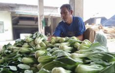 Petani Kecil Mulai Rasakan Efek Gerakan Boikot Restoran Waralaba yang Dianggap Terafiliasi Israel - JPNN.com