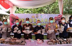 Polres OKU Timur Musnahkan 35,74 Kilogram Ganja Kering - JPNN.com