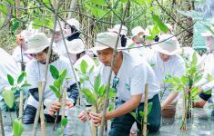 Tanam Mangrove di PIK & Kedonganan, B. Braun Indonesia Rogoh Kocek Ratusan Juta Rupiah - JPNN.com