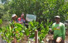 Lestarikan Bangau Bluwok, Pertamina Patra Niaga Regional JBB Tanam 3.750 Mangrove di Pulau Rambut - JPNN.com