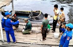 Buaya Muara 2,5 Meter di Pulau Hanaut Dievakuasi BKSDA Sampit - JPNN.com