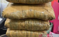 Ojol Bekerja Sampingan Jadi Kurir Ganja 5,2 Kilogram - JPNN.com