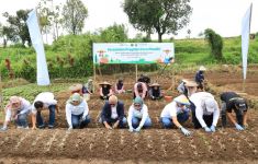 TJSL PELNI Resmikan Desa Mandiri Penghasil Sayur di Cianjur - JPNN.com