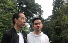 Jokowi & Gibran Baru Dipecat, PDIP Tak Mau Ada Narasi Jahat - JPNN.com