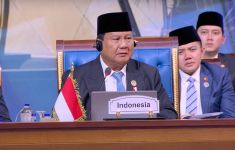 Hadiri KTT D-8, Prabowo Kritik Negara Muslim Masih Kurang Kompak - JPNN.com