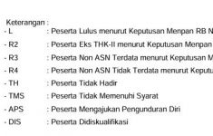 Honorer Bingung dengan Kode Kelulusan PPPK Tahap 1, Penjelasan BKN Bisa Membantu - JPNN.com