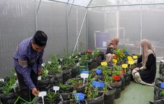 Resmikan Greenhouse, KEHATI Dorong Pelestarian Tanaman Herbal di Ponpes - JPNN.com