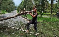 2 Warga Meninggal Tertimpa Pohon Tumbang di Pangkalpinang - JPNN.com