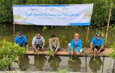 PLN Indonesia Power Dukung Taman Mangrove Festival 2024 di Ketapang Urban Aquaculture - JPNN.com